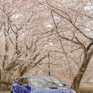 シビックタイプR FK8