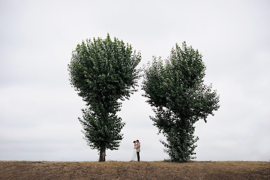 結婚式の写真家Aleksey Stulov (stulovphoto)。2017 9月2日の写真