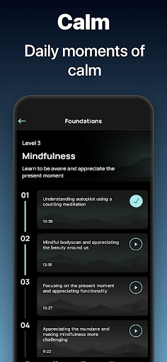 Screenshot Serenity: Guided Meditation