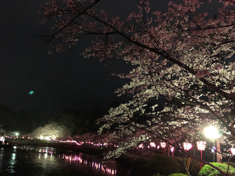 アルテッツァの桜と愛車・桜・夜桜コラボ・ドライブ・ドライブ飯に関するカスタム事例の投稿画像8枚目
