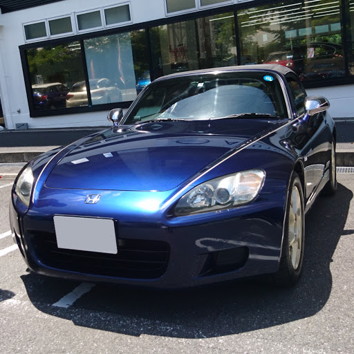 シラキのプロフィール画像