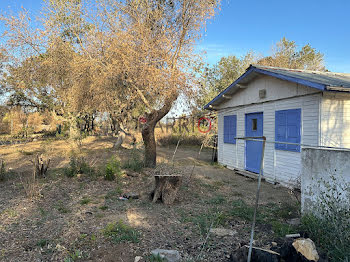 terrain à Argeles-sur-mer (66)