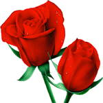 Cover Image of Скачать Roses Flowers Stickers Maker for WAStickerApps 1.0 APK