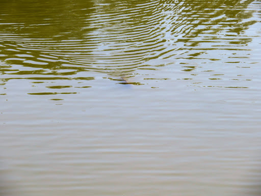 Chinese Culture Park Beijing China 2016