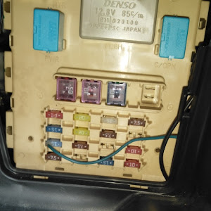 bB NCP31