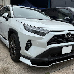 RAV4 AXAH54