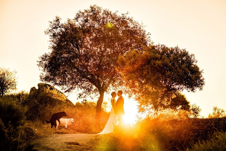 Photographe de mariage Kiko Calderòn (kikocalderon). Photo du 14 mai 2019