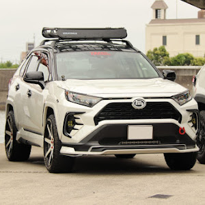 RAV4 MXAA54