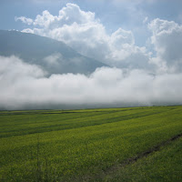 Tanti colori sotto la nebbia di 