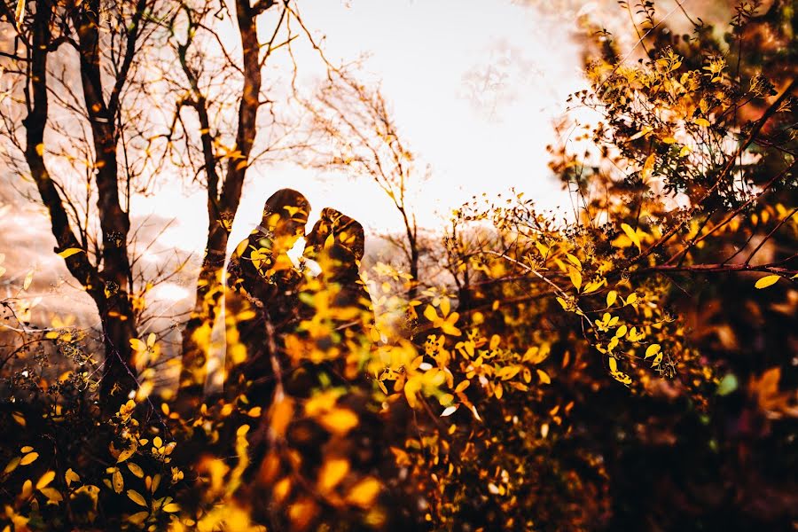 Fotógrafo de bodas Laurynas Butkevičius (laurynasb). Foto del 20 de noviembre 2018