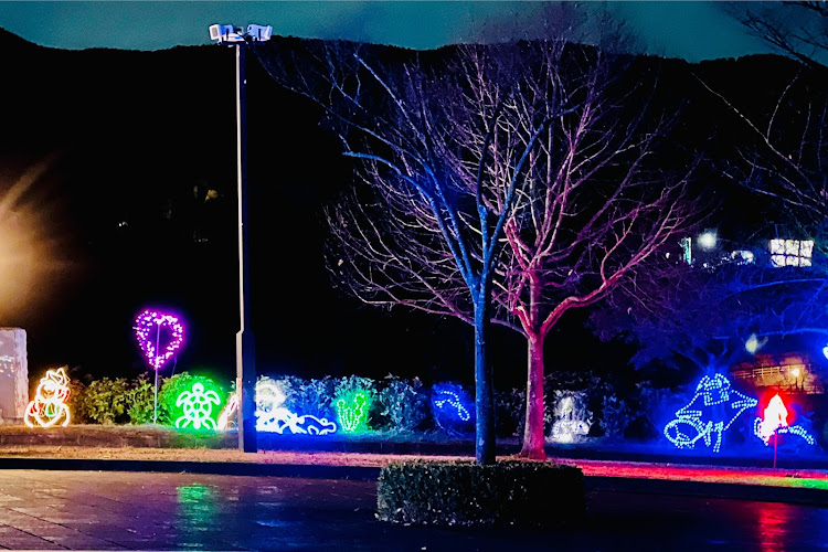 ロードスターRFの2023ベストショット12月・いつもいいね＆コメントありがとうございます🥰・県立秦野戸川公園・風の吊り橋ライトアップ・クリスマスイルミネーション🎄に関するカスタム事例の投稿画像11枚目