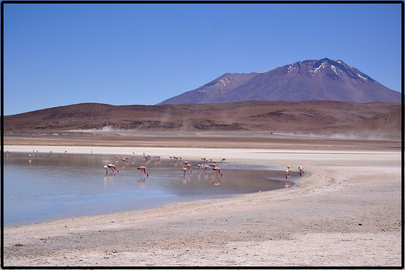 TOUR SALAR UYUNI II. DESIERTO Y LAGUNAS - DE ATACAMA A LA PAZ. ROZANDO EL CIELO 2019 (11)