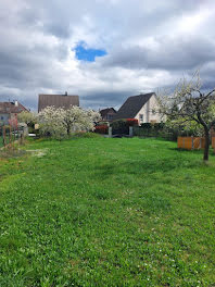 maison neuve à Plobsheim (67)