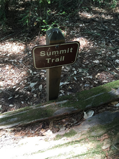 Summit Trail