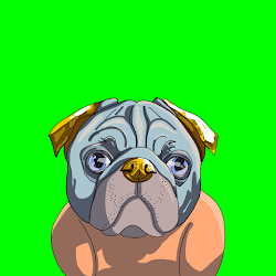 Top Dog #4218