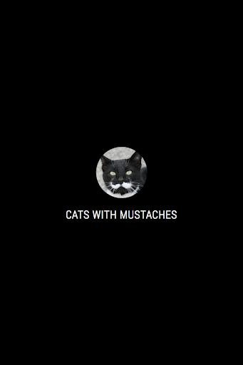 Cats With Mustaches