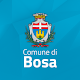 Bosa inAPP Download on Windows