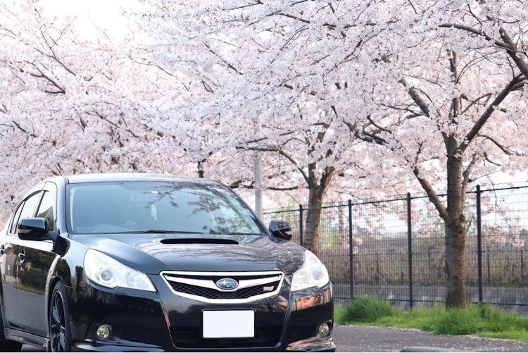 レガシィB4の桜・ドライブ・カメラ練習中・一眼レフに関するカスタム事例の投稿画像1枚目