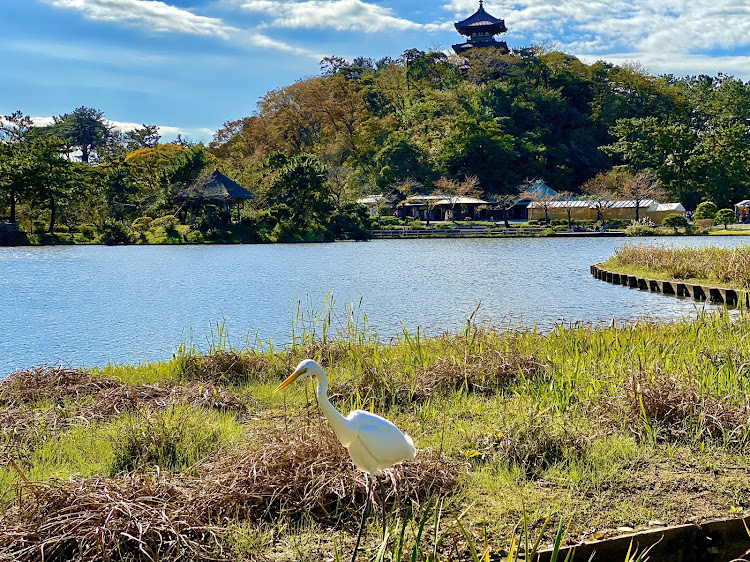 の投稿画像4枚目