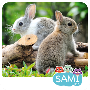 Download Sami Tiny Flash Cards Animals preschool kids apps For PC Windows and Mac