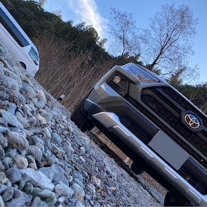 RAV4 MXAA54