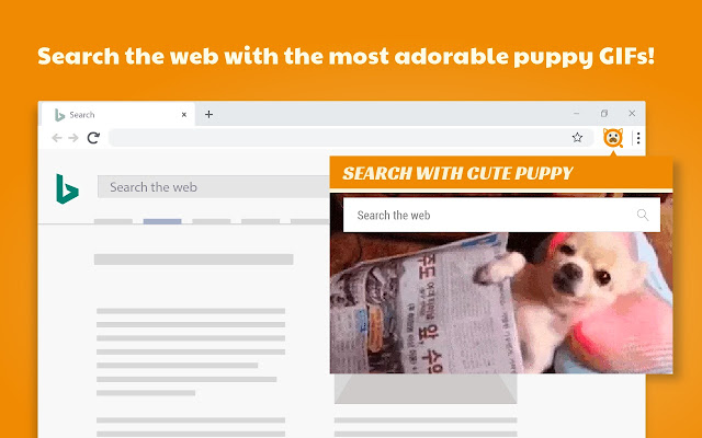 Search with Cute Puppy