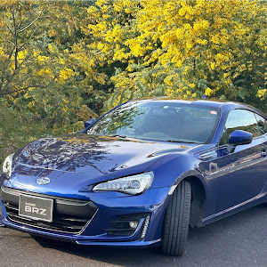 BRZ ZC6