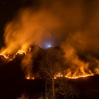 Incendio boschivo di 