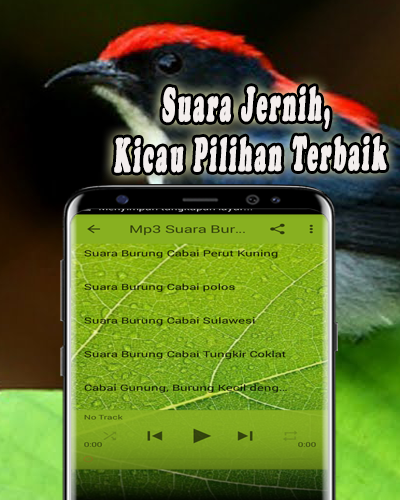 Suara Burung Cabai Pikat MP3