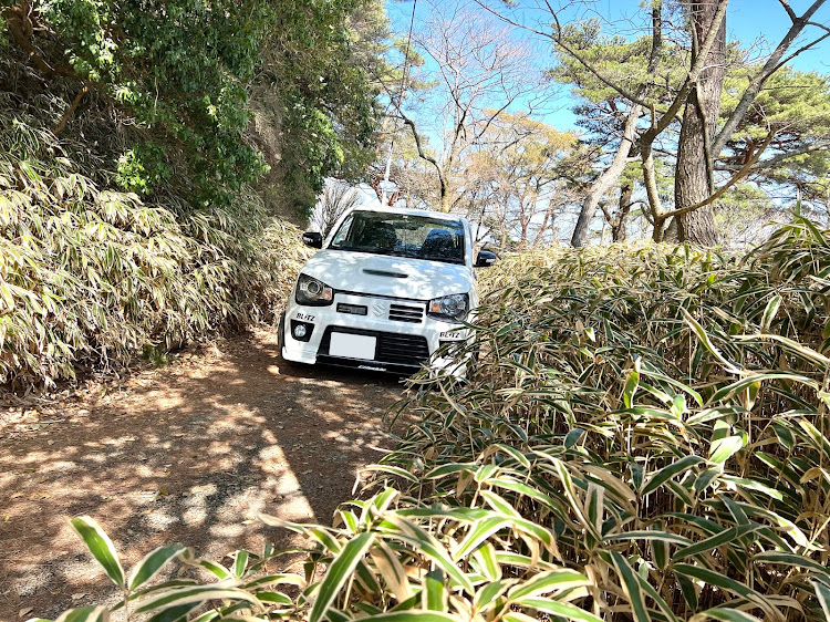 の投稿画像6枚目