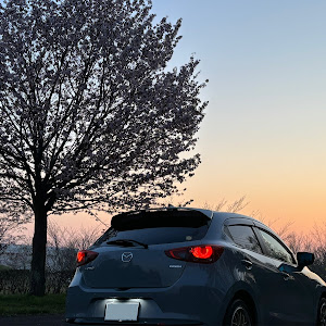 MAZDA2 DJLFS