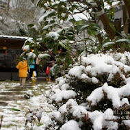 陽明山平菁街橘咖啡