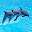 Dolphins Wallpaper HD NewTab Themes