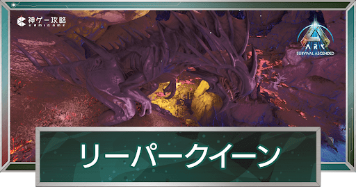 リーパークイーン