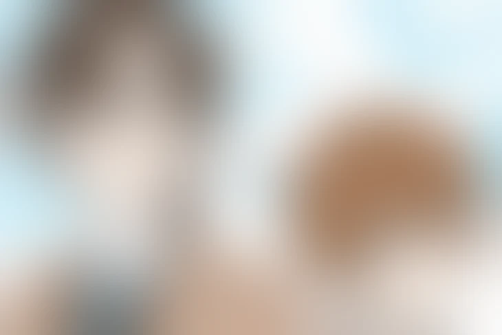 「⋆⸜ 𝐇𝐚𝐩𝐩𝐲𝐛𝐢𝐫𝐭𝐡𝐝𝐚𝐲 ⸝⋆」のメインビジュアル