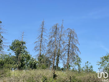 terrain à Dannevoux (55)