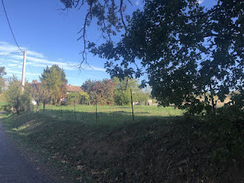 ferme à Cagnac-les-Mines (81)