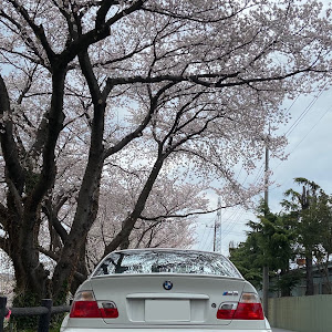 M3 クーペ BL32