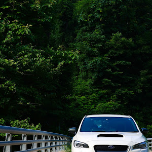 WRX S4 VAG