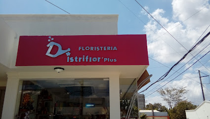 Distriflor Plus