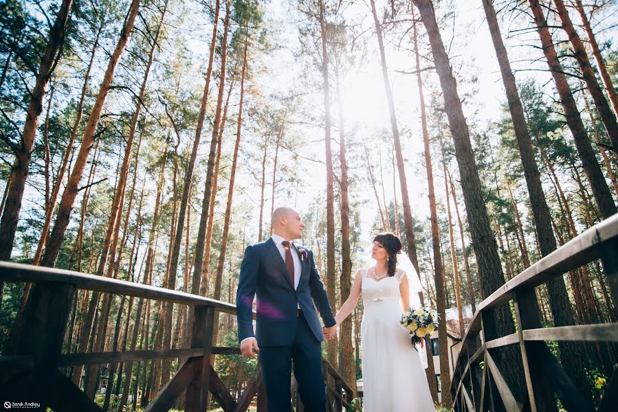 結婚式の写真家Andrey Sitnik (sitnikphoto)。2015 5月31日の写真