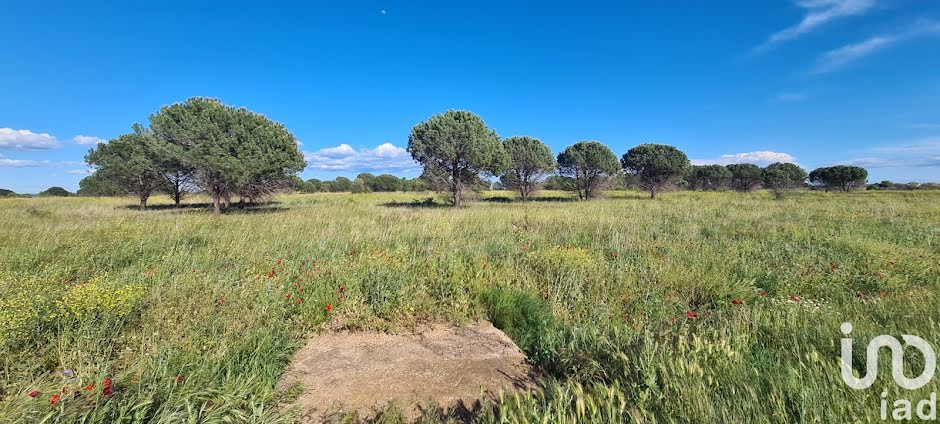 Vente terrain  3771 m² à Bessan (34550), 12 000 €