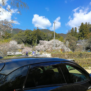 CX-3 DKEFW
