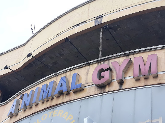 Animal Gym - Cuenca