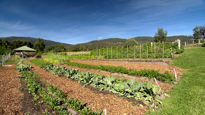 Edible Gardens thumbnail