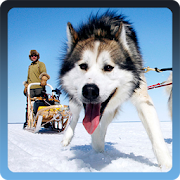 Dog Sledding 1.0 Icon