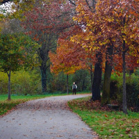 Respirando l'autunno di 