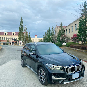 X1 xDrive 18d