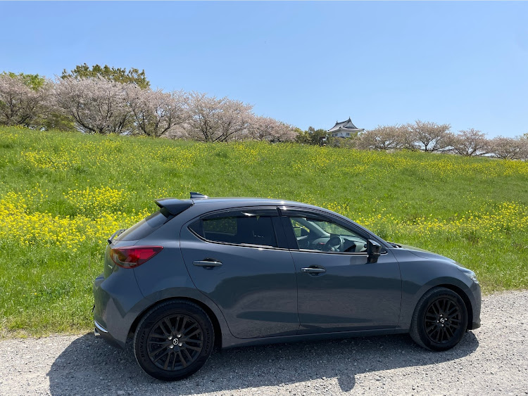 MAZDA2の利根川河川敷に関するカスタム事例の投稿画像1枚目