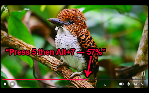 YouTube Decimal Seek screenshot 1